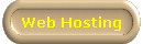  Web Hosting 