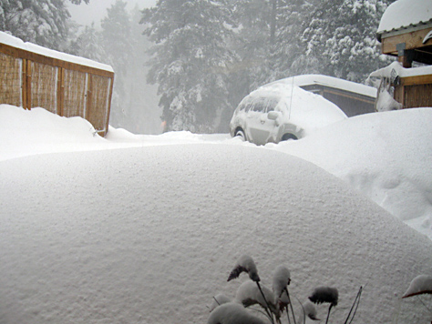 Cloudcroft Snow 1-23-10