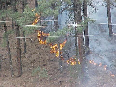 Rio Penasco Fire