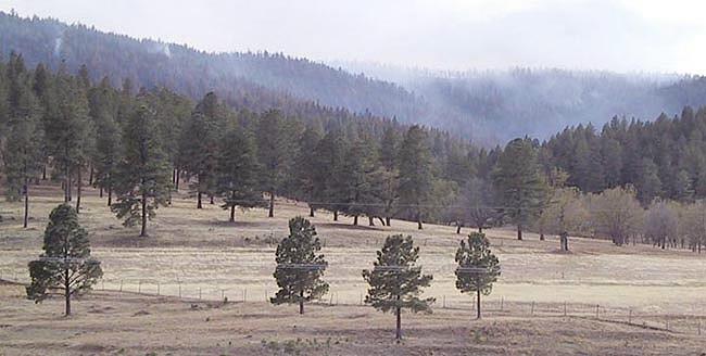 Rio Penasco Fire