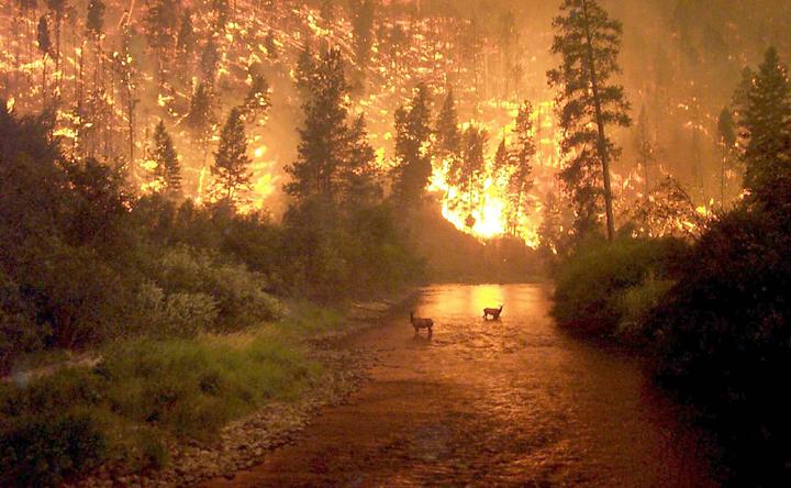 Bitterroot Valley, Idaho