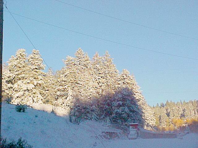 Snow Photo 4