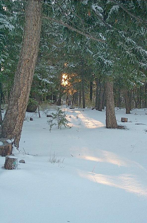 Sunspot Photo 2